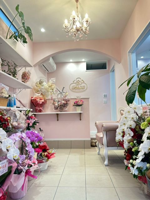 Dogsalon Blanc